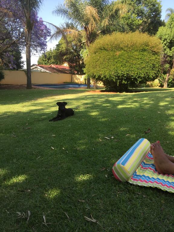 Khuvena Guesthouse Randburg Εξωτερικό φωτογραφία